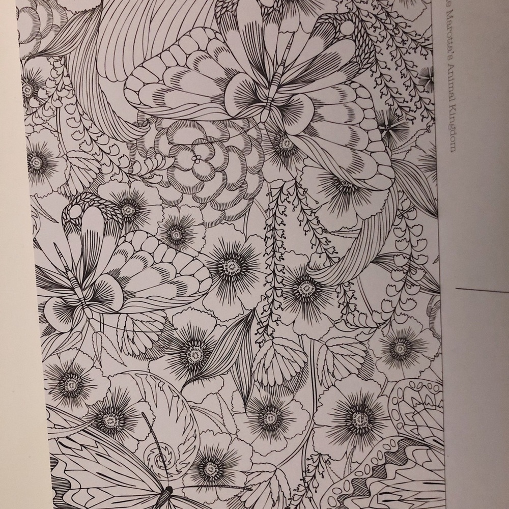 Postcard Colouring Book - Picture 6 of 7